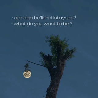 Telegram profile photo for Navroʻzbek Hojimurodov | Rasmiy kanal