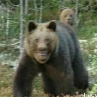 Telegram profile photo for Детский крематорий уголёк