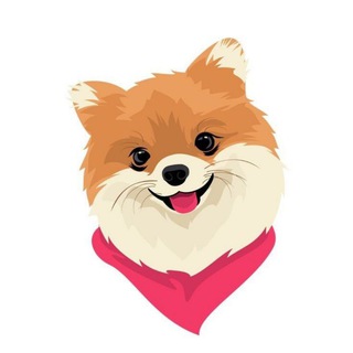 Telegram profile photo for DOG