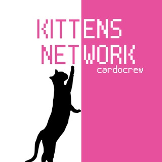 Telegram group profile photo for Kittens 🐱 Networking