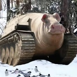 Telegram profile photo for биба пупс