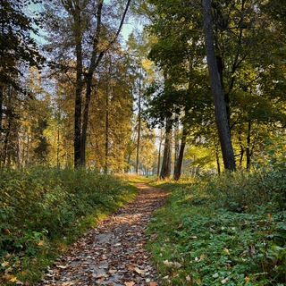 Telegram profile photo for Жить креативно