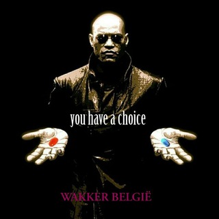 Telegram profile photo for Wakker België ✅