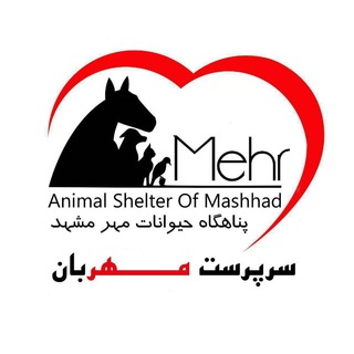 Telegram profile photo for 💗سرپرست مهربان💗(واگذاری حیوانات بی پناه)