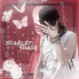 Telegram profile photo for . . scarlet shade ⸝ info
