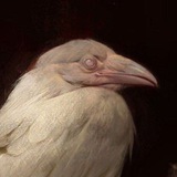 Telegram profile photo for Воронье гнездо