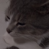 Telegram profile photo for ПЕРЕХОД