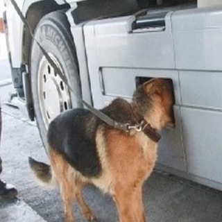 Telegram profile photo for РазЪтележился