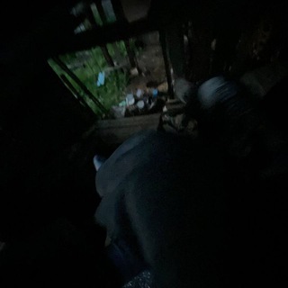 Telegram profile photo for Гуга💤