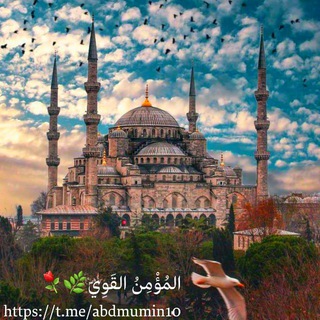 Telegram profile photo for المؤمن القوي🌿🌺