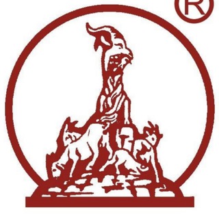 Telegram group profile photo for 羊城印象
