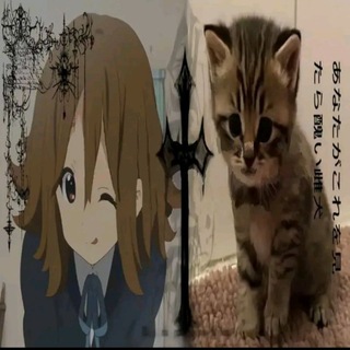 Telegram profile photo for Die looking at me