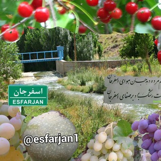 Telegram profile photo for Esfarjan(اسفرجان)