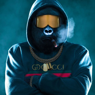 Telegram profile photo for Call Analyser Chat