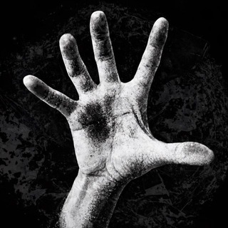 Telegram profile photo for four walls5