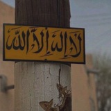 Telegram profile photo for مسلم