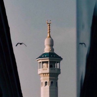 Telegram profile photo for نَبْضُ الأَمَـــل