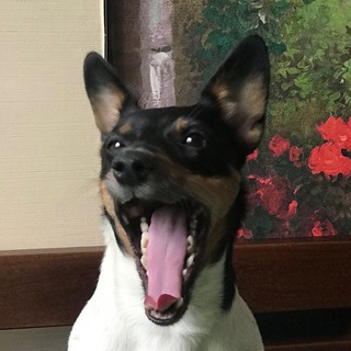 Telegram profile photo for tina’s channel