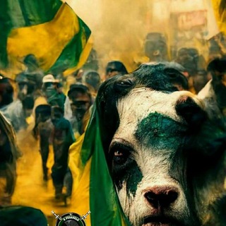 Telegram profile photo for Canal do POLITIMIZANDO