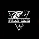 Telegram profile photo for WOLVES CALLS
