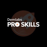 Telegram profile photo for Школа Demlabs Pro Skills