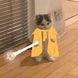 Telegram profile photo for loona files