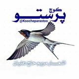 Telegram profile photo for کوچ پرستو