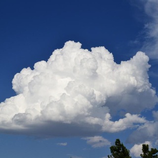 Telegram profile photo for Cloud info