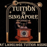 Telegram profile photo for Malay Language Tuition In Singapore