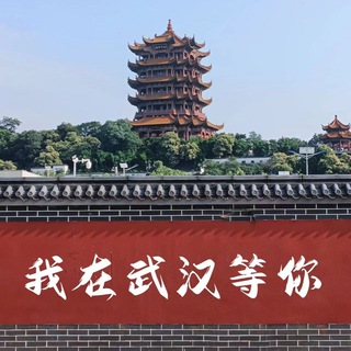 Telegram profile photo for 武汉半套-推油 -SPA-4推