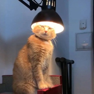 Telegram profile photo for горящий светильник