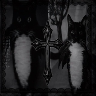 Telegram profile photo for Переходник Котенка🐱