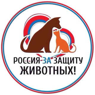 Telegram profile photo for Собачники Сочи, собаки, котики, лапы, потеряшки, поиск, кошки, поиск, животные, ищу дом, в добрые руки, Сочи, Адлер, Мацеста