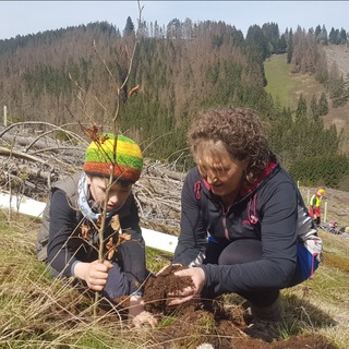 Telegram profile photo for 🌳Der Wald ruft! 👫🏃♀️
