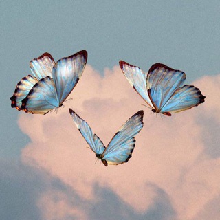 Telegram profile photo for 𝘽𝙪𝙩𝙩𝙚𝙧𝙛𝙡𝙮🦋