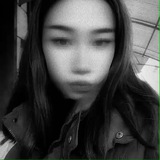 Telegram profile photo for 🕊