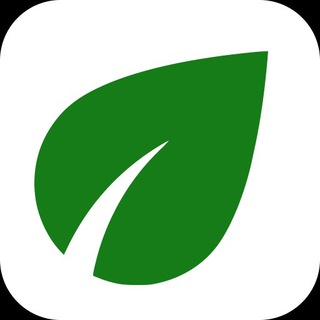 Telegram profile photo for IslamicStock™.in