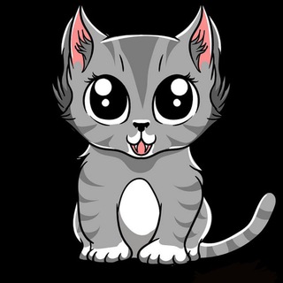 Telegram group profile photo for Mini Baby Cat (MBC)