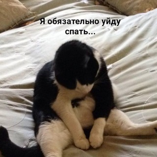 Telegram profile photo for Болтовня Лощины