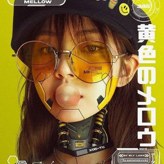 Telegram profile photo for WireWalkWithMe