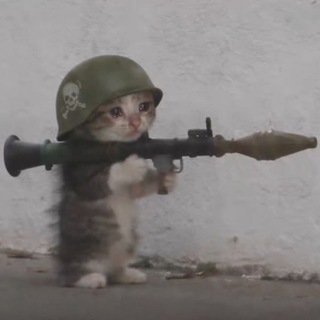 Telegram profile photo for Monitoring The Situation