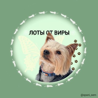 Telegram profile photo for 𐌡᧐ᴛᥱρᥱᥙ ᧐ᴛ ʙᥙρыᯓ