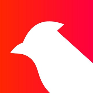 Telegram profile photo for البلبل الفتان