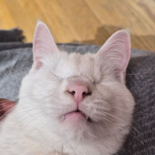 Telegram profile photo for Верочька табуреточька
