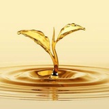 Telegram profile photo for grow💧🌱with🍀us🤝