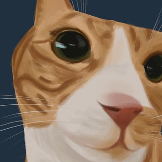 Telegram profile photo for lihtarik's pictures