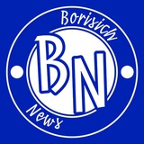 Telegram profile photo for Borisich News