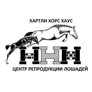 Telegram profile photo for Horse reproduction center