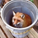 Telegram profile photo for 12 марта 2027 года