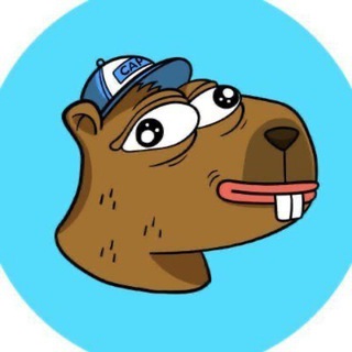 Telegram profile photo for $CAP ON SUI